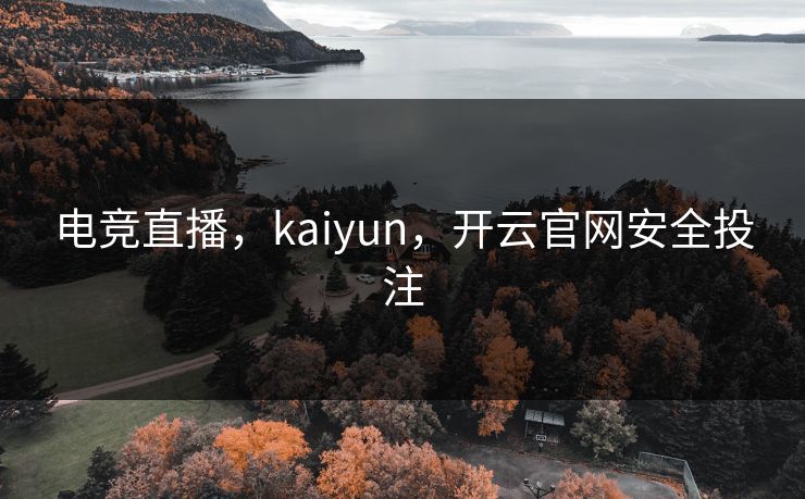 电竞直播，kaiyun，开云官网安全投注