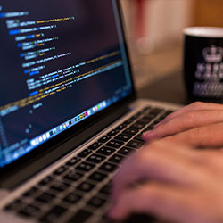 kaiyun：数据揭示训练师私下透露