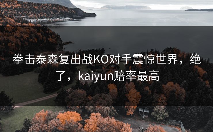 拳击泰森复出战KO对手震惊世界，绝了，kaiyun赔率最高